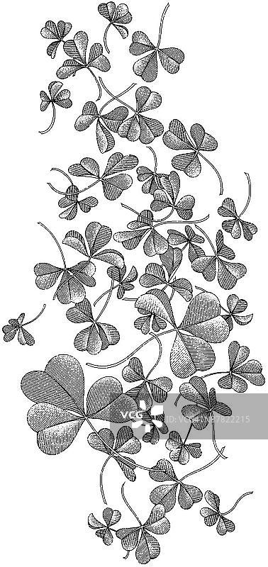 LiquidLibrary图片素材