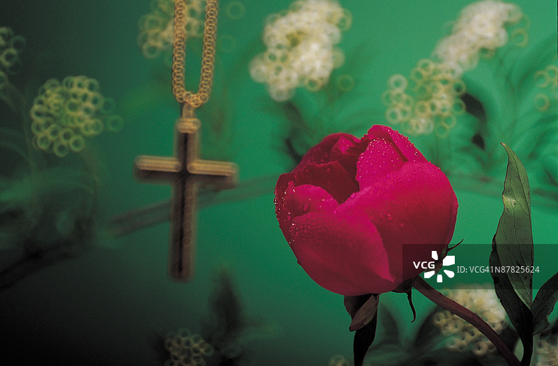 24077832图片素材