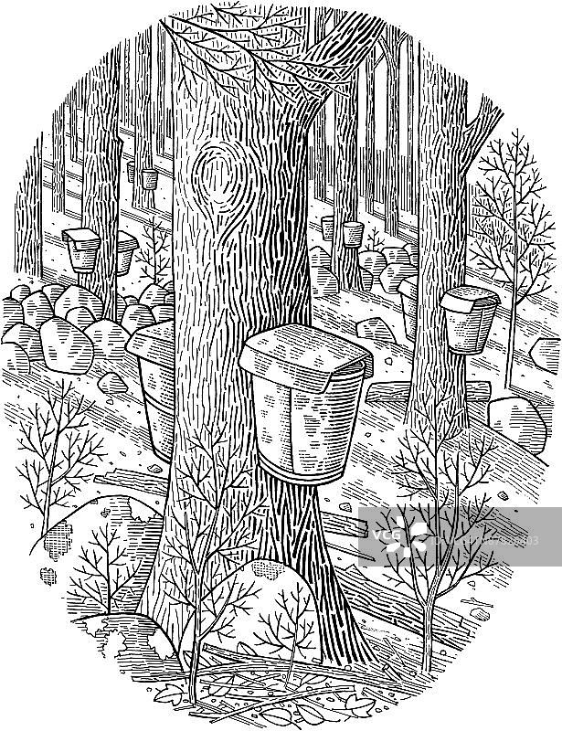 一个年轻的女人在做白日梦图片素材