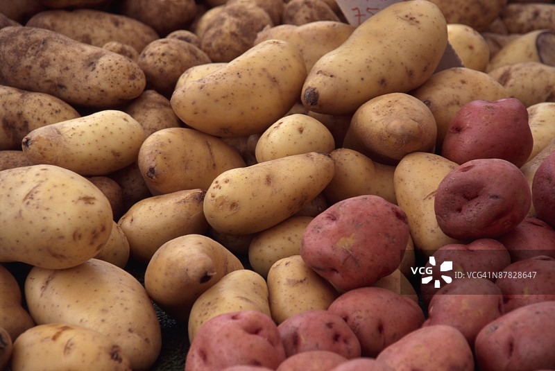 一堆赤褐色和红色土豆图片素材