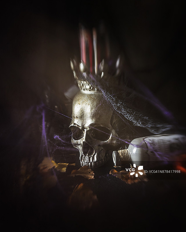 单人赛艇图片素材