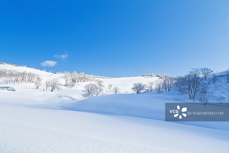 江原道大关岭山路雪景图片素材