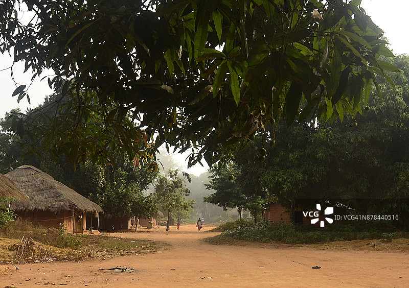 西非热带植被繁茂的道路图片素材