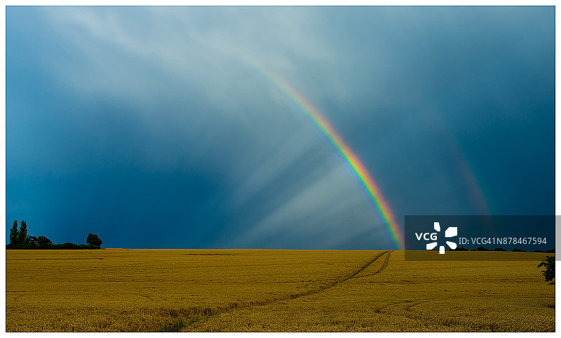 金色田野图片素材