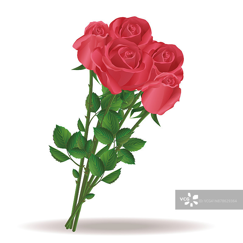 美丽的红色玫瑰花束图片素材