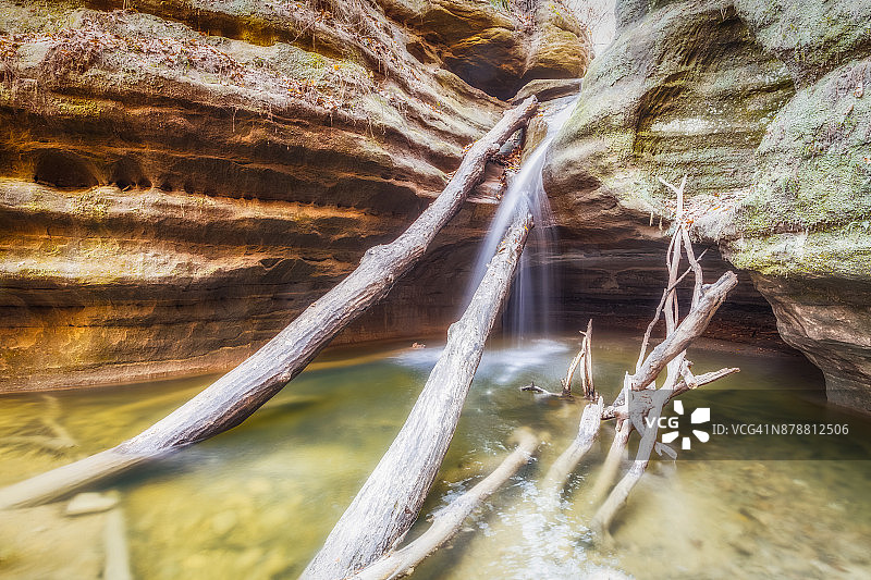 倒下的木材图片素材