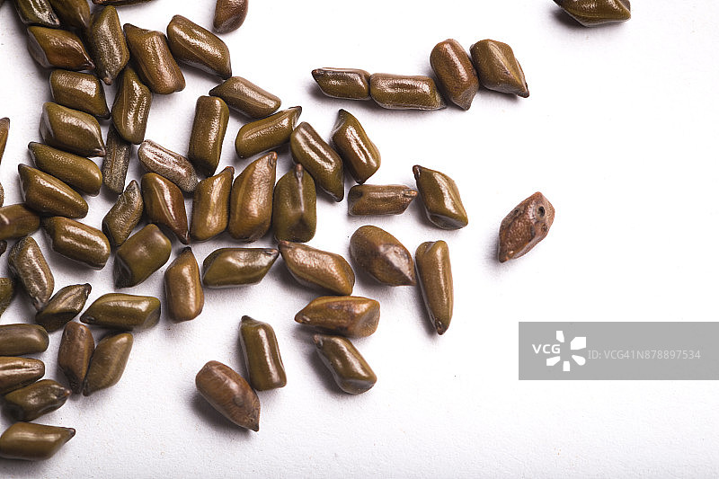 中药决明子工作室拍摄图片素材