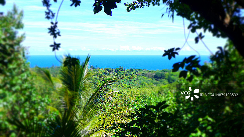 美国夏威夷毛伊岛图片素材