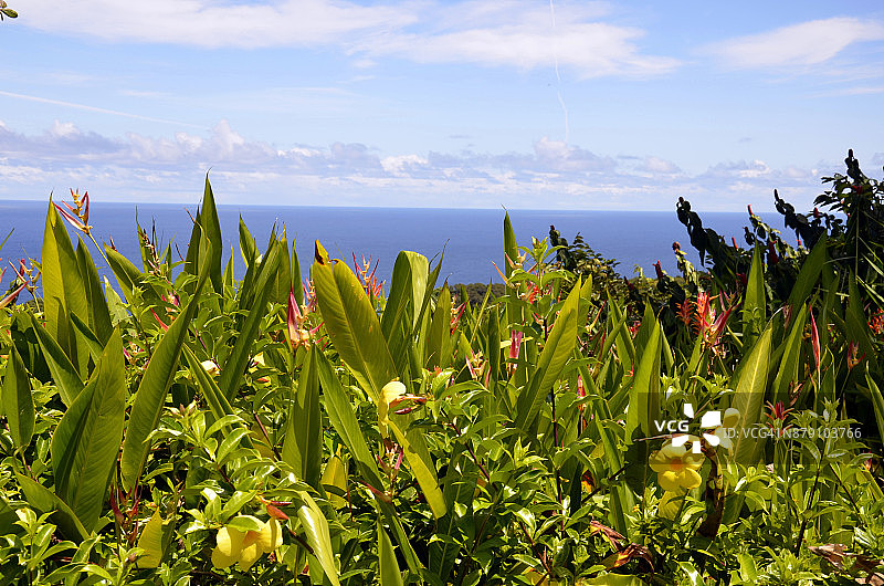 美国夏威夷毛伊岛图片素材