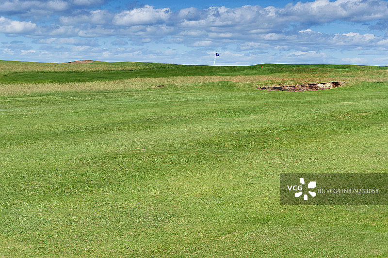 50种绿色色调图片素材