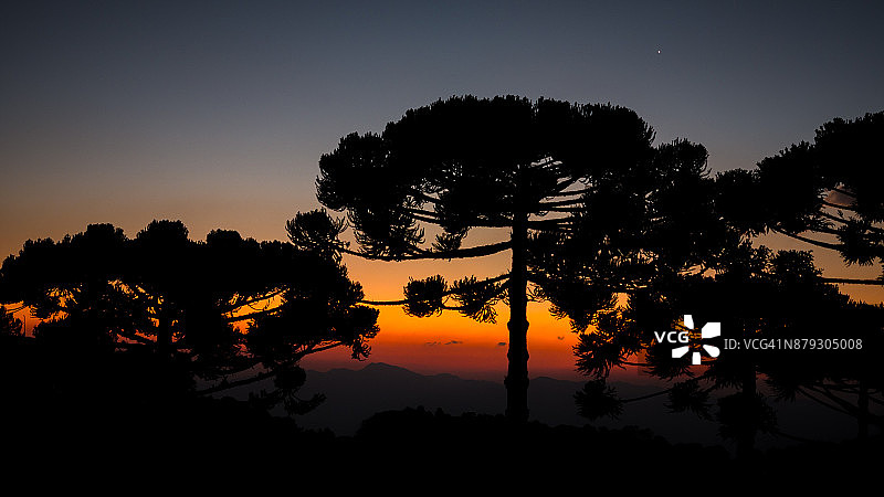 坎普斯杜若尔当图片素材