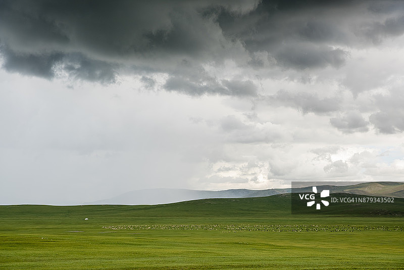 蒙古草原上羊群上空的多云天空图片素材