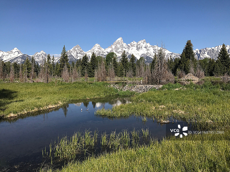 杰克逊霍尔的海狸水坝4图片素材