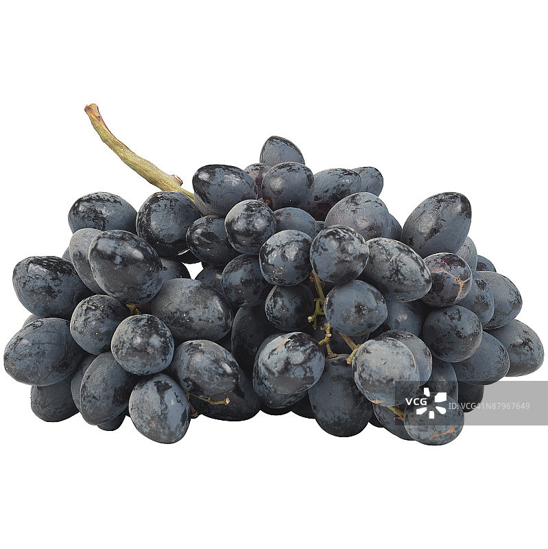 葡萄藤上的葡萄图片素材