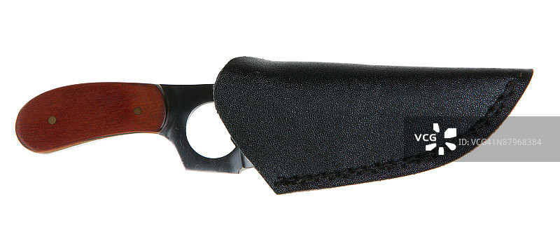 带鞘颈刀图片素材