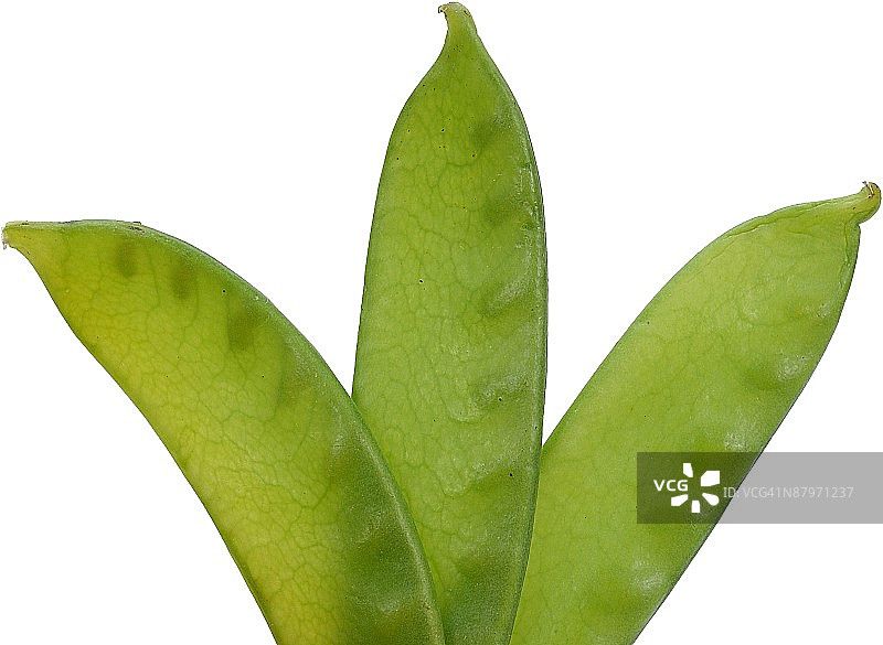 23531140图片素材