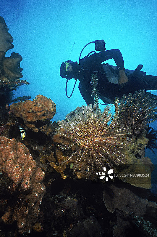 礁石上的水肺潜水员图片素材