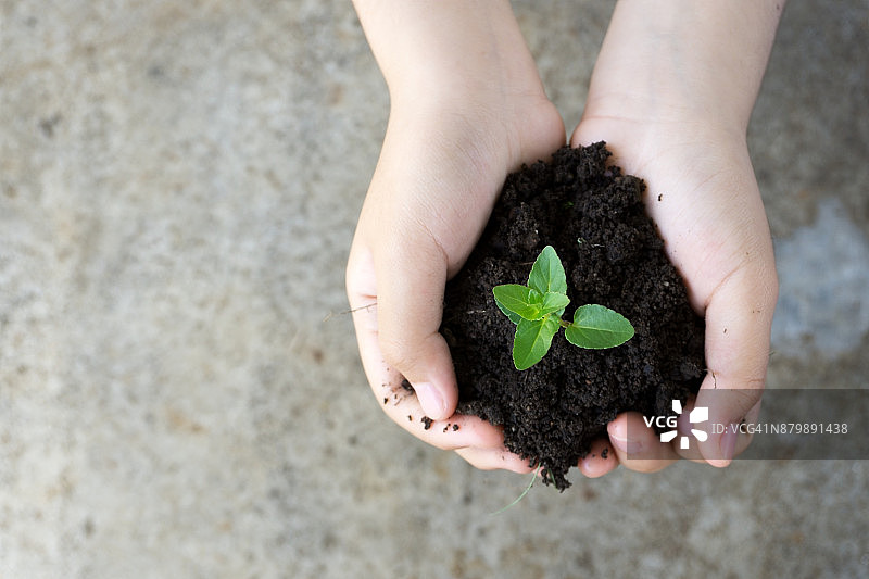 为未来成长图片素材