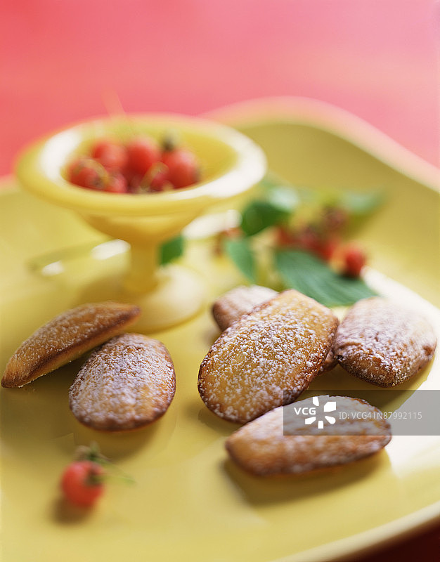 经典玛德琳茶点图片素材