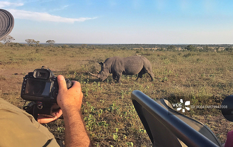 非洲野生动物摄影之旅图片素材