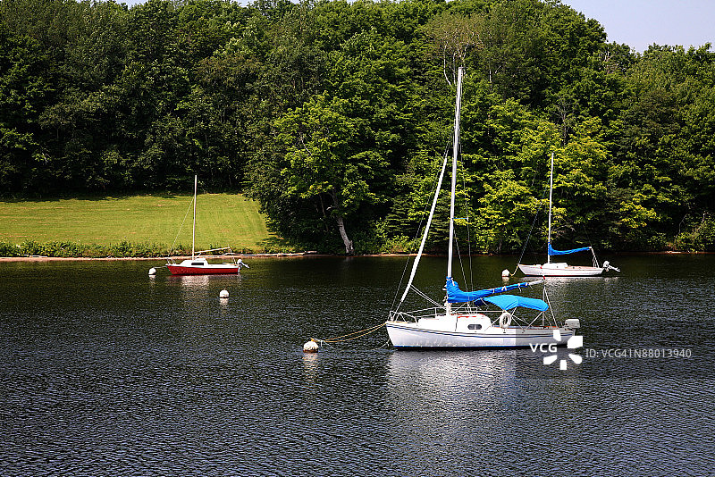帆船，约克百年纪念公园，弗雷德里克顿，加拿大新不伦瑞克省图片素材