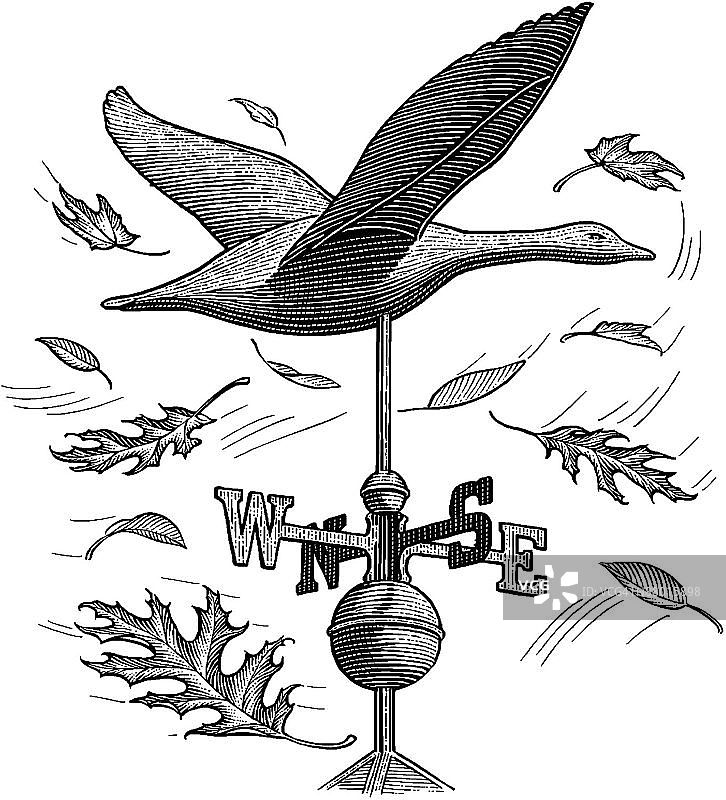 LiquidLibrary图片素材