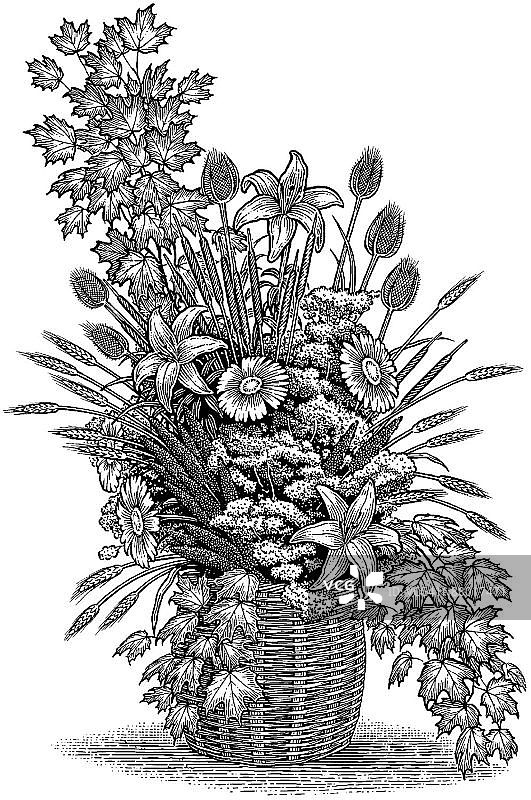 LiquidLibrary图片素材