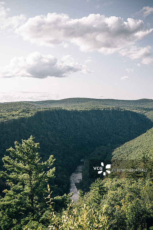 宾夕法尼亚大峡谷的松树溪峡谷图片素材