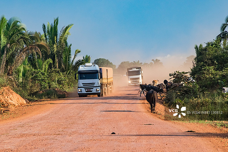 港口附近的三辆运粮卡车图片素材