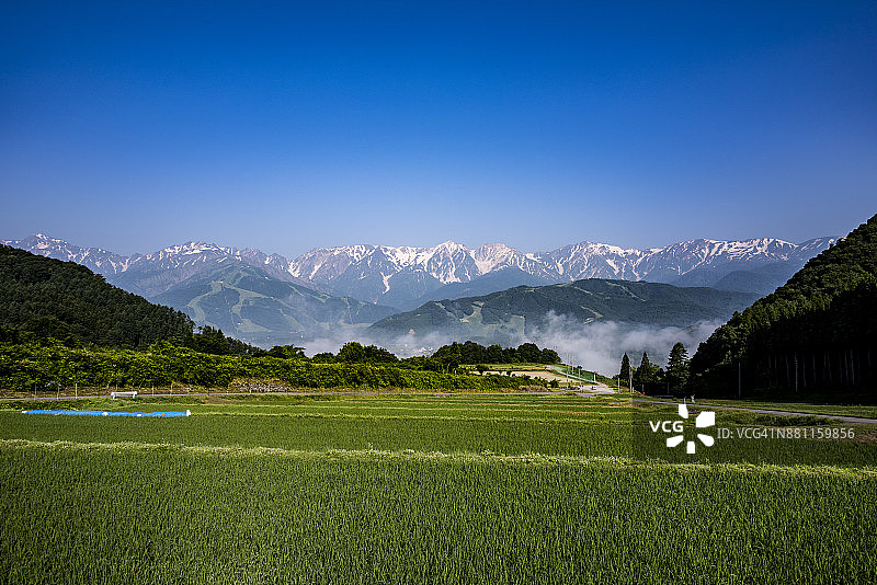 盛夏清晨的白马村图片素材