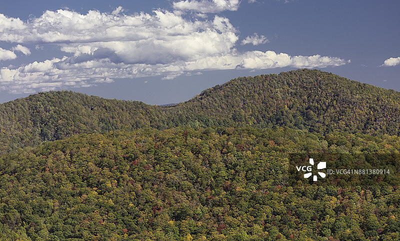 蓝岭公园道的秋叶图片素材