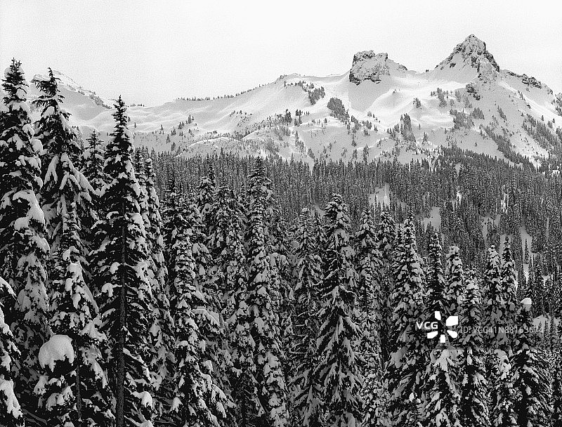 华盛顿州雷尼尔山国家公园图片素材