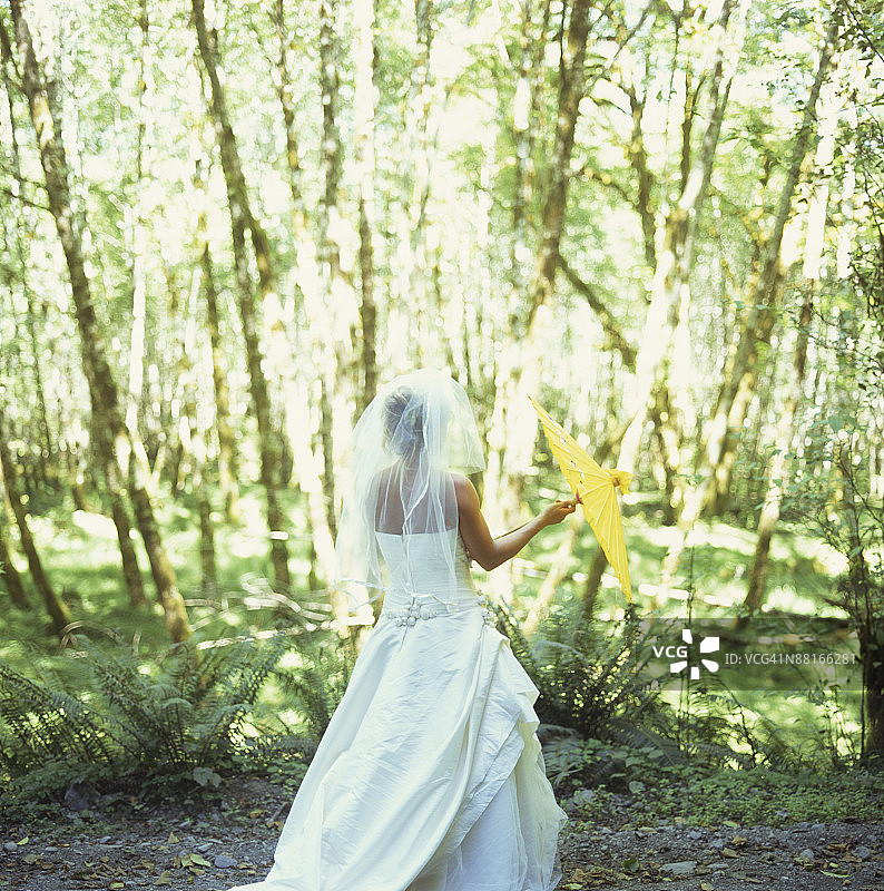 在森林里穿婚纱的女人图片素材