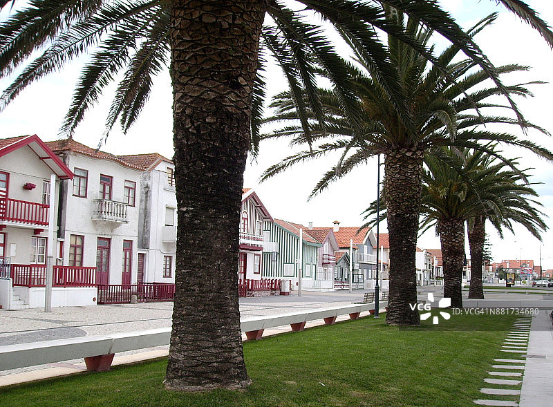 葡萄牙阿威罗新海岸的彩色条纹房屋图片素材