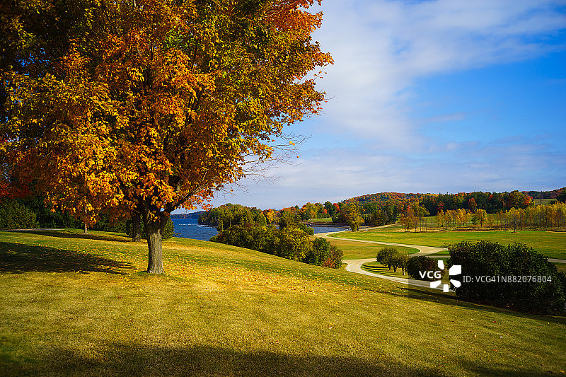秋叶与绿色景观图片素材