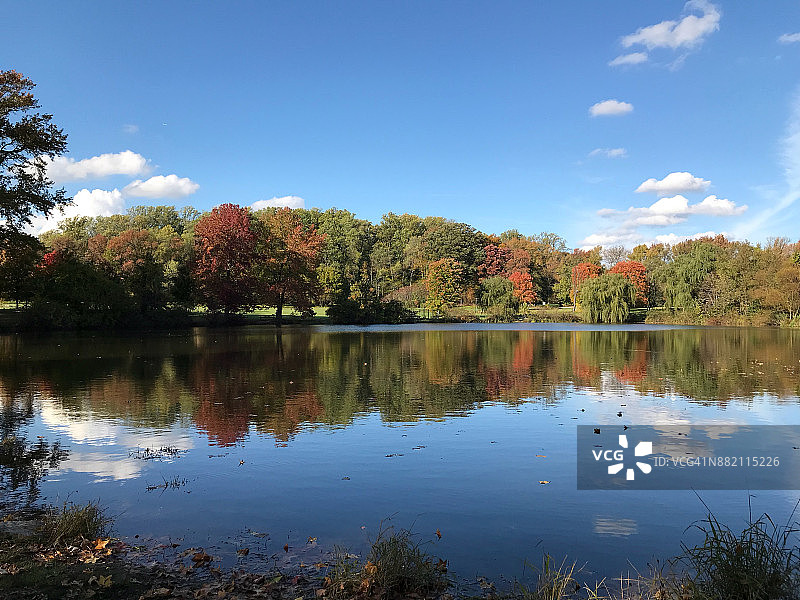 特拉华州贝尔维尤公园秋季树木池塘边的蓝天白云图片素材