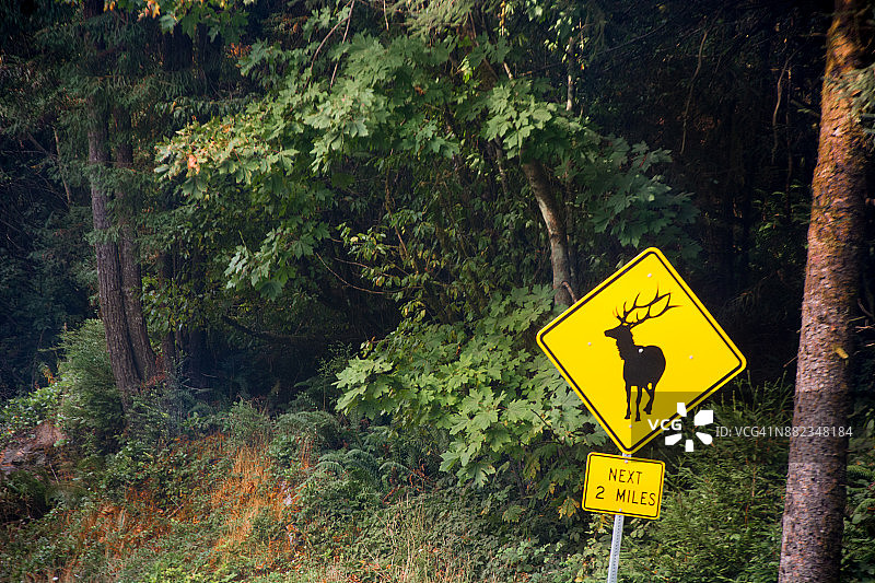 加州101号高速公路：未来2英里注意麋鹿标志图片素材