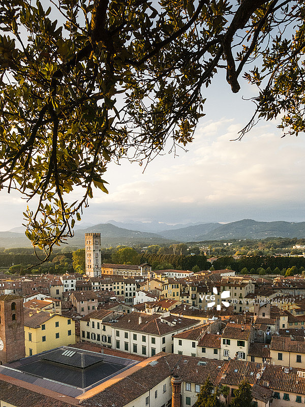 意大利中部托斯卡纳卢卡市，九月图片素材