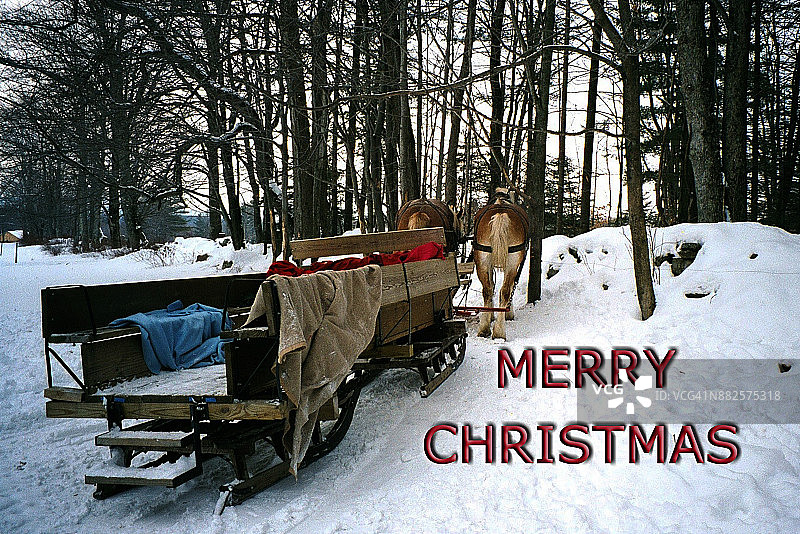 节日马车图片素材