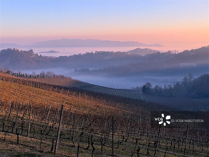 意大利皮埃蒙特蒙费拉托山谷雾气中的秋季冬季葡萄园全景图片素材
