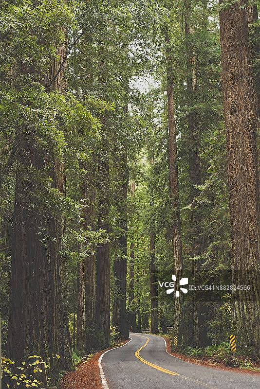 布里奇维尔路1号图片素材