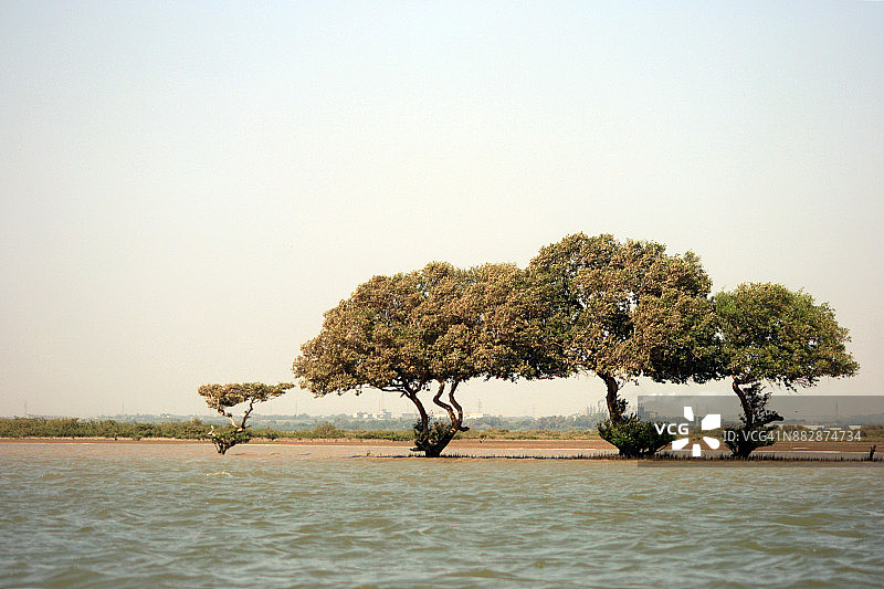 印度河三角洲的自然保护图片素材
