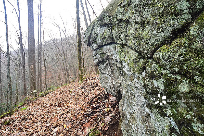 森林山坡上苔藓巨石中沉积层的近景照片图片素材