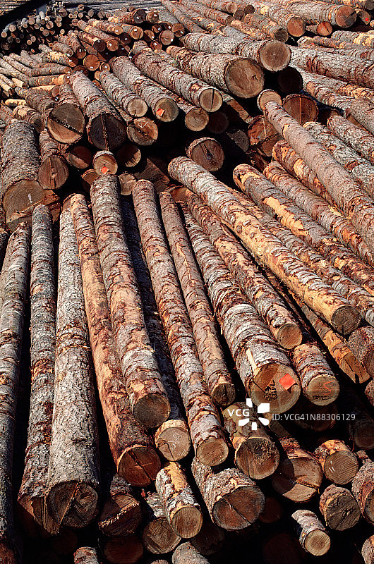 堆叠的原木图片素材