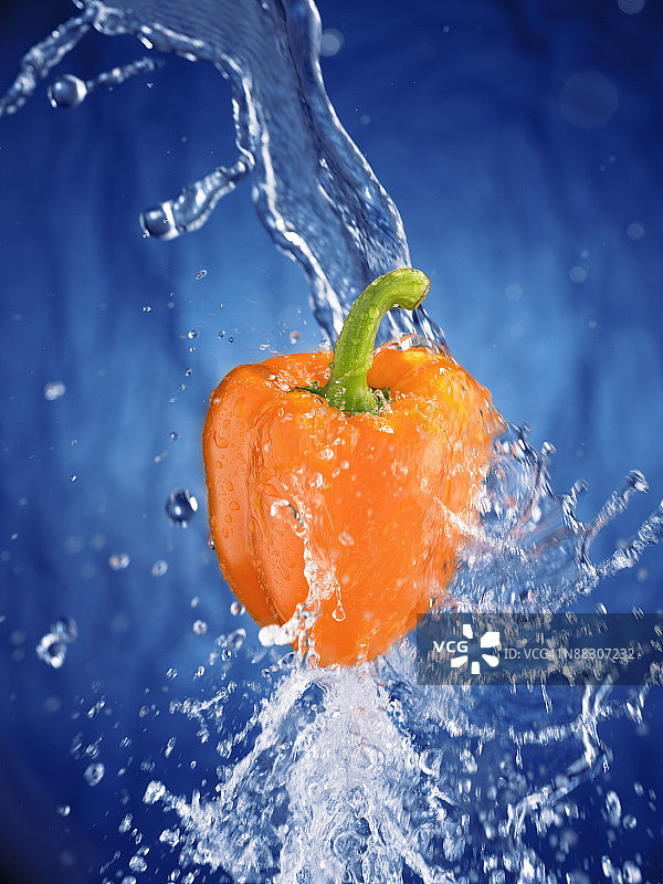 湿润的橙色甜椒图片素材