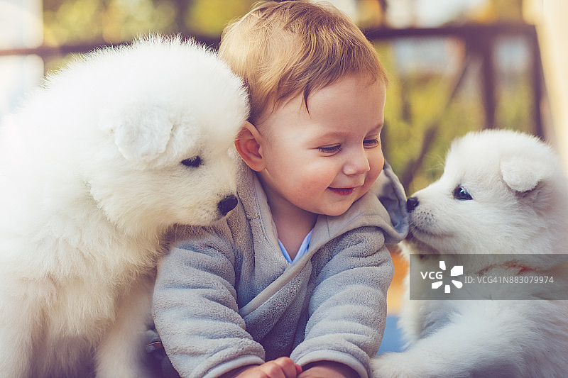 和萨摩耶幼犬在一起的儿童图片素材