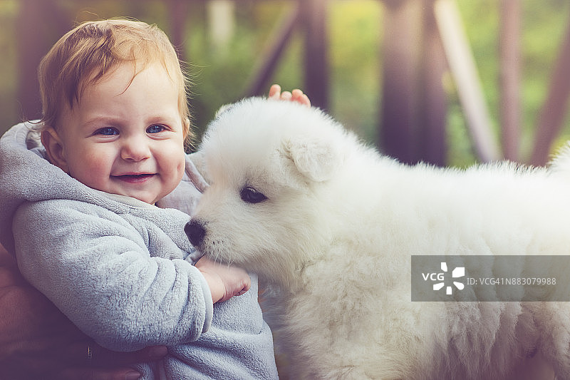 儿童与萨摩耶幼犬图片素材