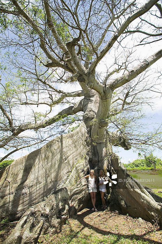 姐妹俩站在树根旁图片素材