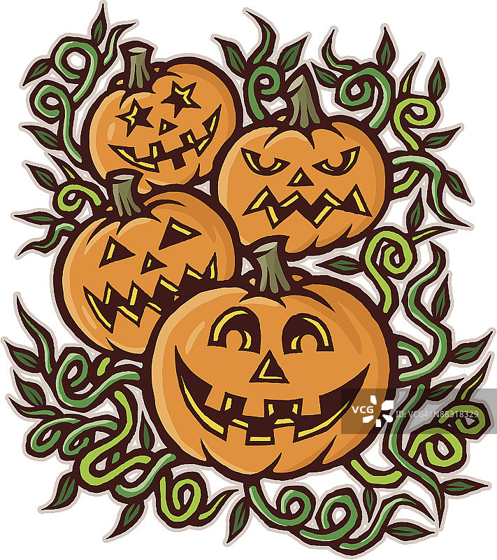 南瓜地的南瓜灯，彩色插画图片素材