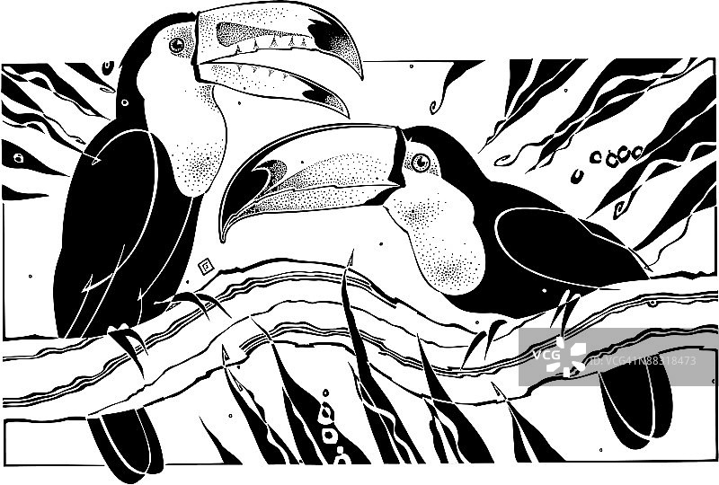 栖息在树枝上的大嘴鸟图片素材